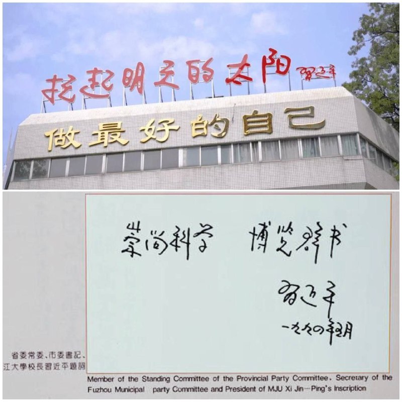 习主席的倒车体，有一种即将倾倒的美感By