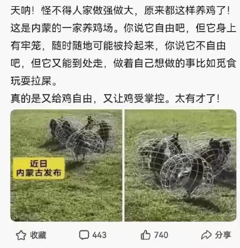 who？🕶️ 匿名投稿#CN普利策