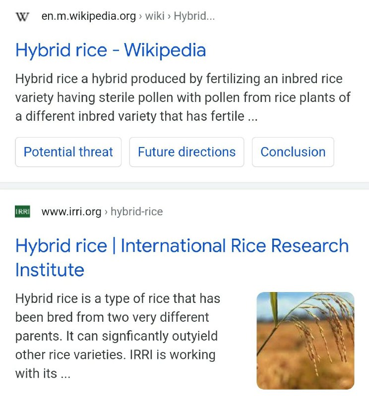 央视大外宣加速⏩️到连单词都给拼错了😅CGTN误报死讯翻车现场
