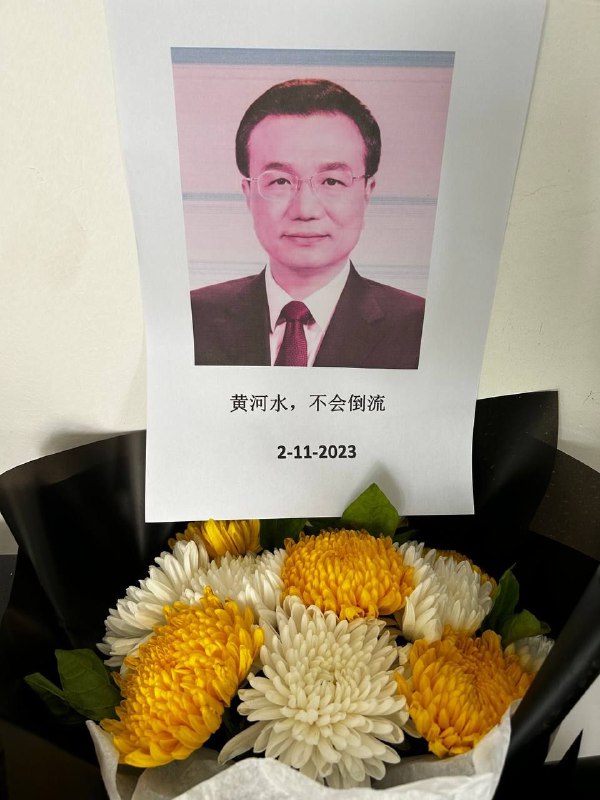 被抓过以后有点儿摄像头恐惧症了，不敢去外面光明正大祭奠