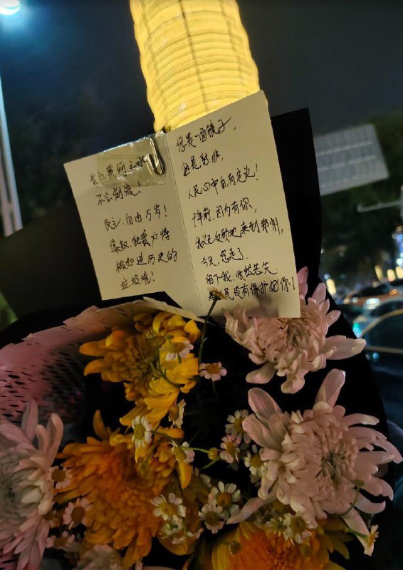 人在做,天在看,王八蛋终究会滚蛋!集权、独裁必将被扫进历史的垃圾堆!@习近平  说你呢投稿By