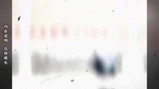 暴力农业税革命😡投稿By