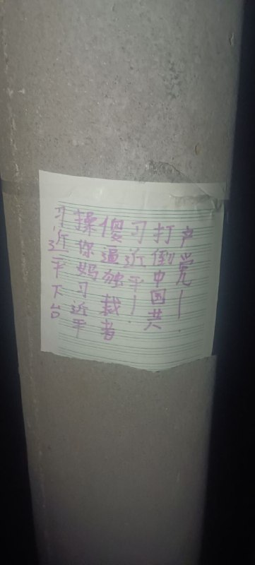 #大传单运动 #电线