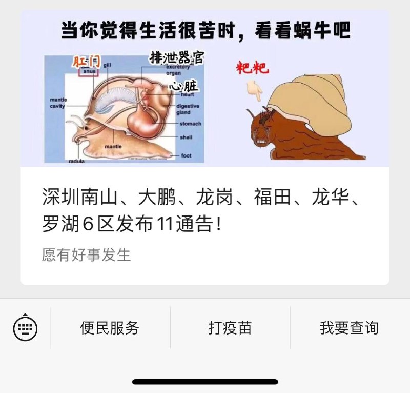 蜗牛能跟人对比吗？什么脑残对比法By