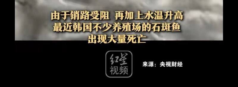 红星新闻发了标题名为