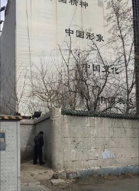 可以，很有中国🇨🇳精神！