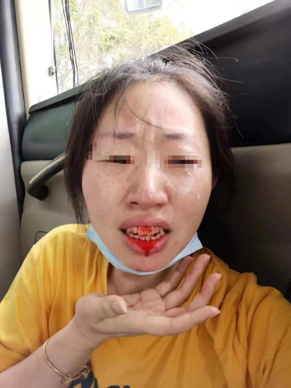 荷兰恐怖分子荷兰恐怖分子