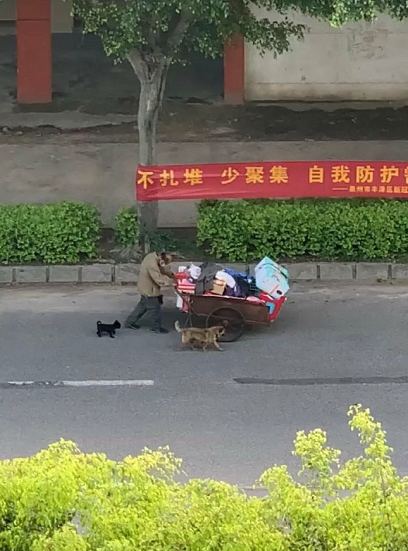 共产党你们还是人吗？By