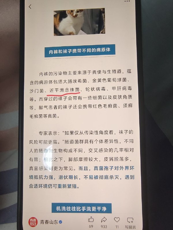 请速去青春山东朝圣😁😎 匿名投稿请速去青春山东朝圣😁😎 匿名投稿