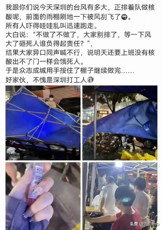 苛政猛于台风🌀By