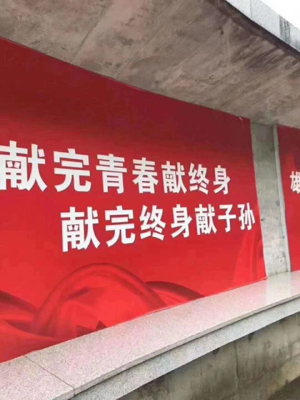 献起来了投稿By