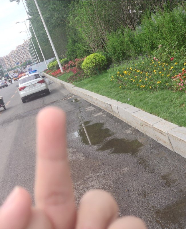 去你妈的中共黑皮走狗，去你妈的习近平！#竖中指明方向