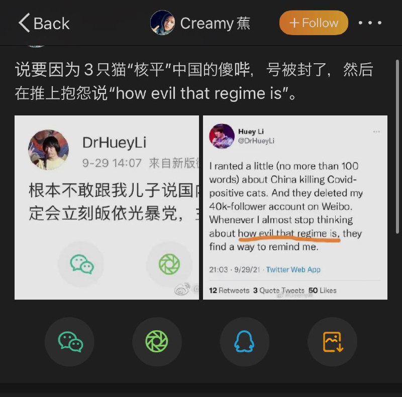 微博大蛆奶蕉在推特搞台独说台湾正式名称是中华民国投稿By