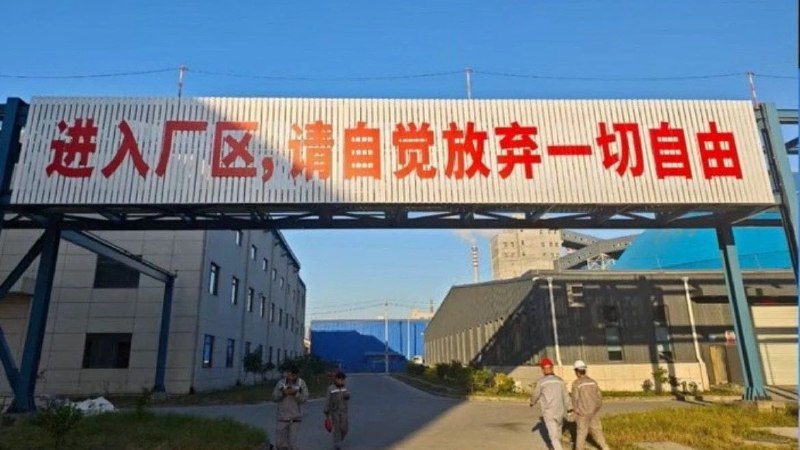 中國跟納粹德國的相同