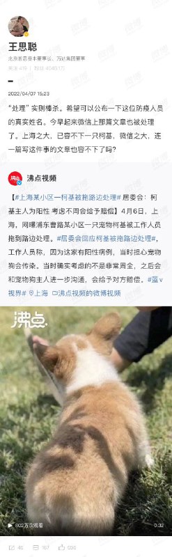 王总最近挺刚王总最近挺刚