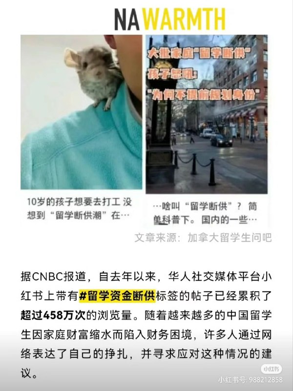 小留们如何破局小留们如何破局