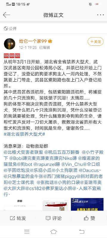 楠姐再次言出法随,支持👍楠姐再次言出法随,支持👍
