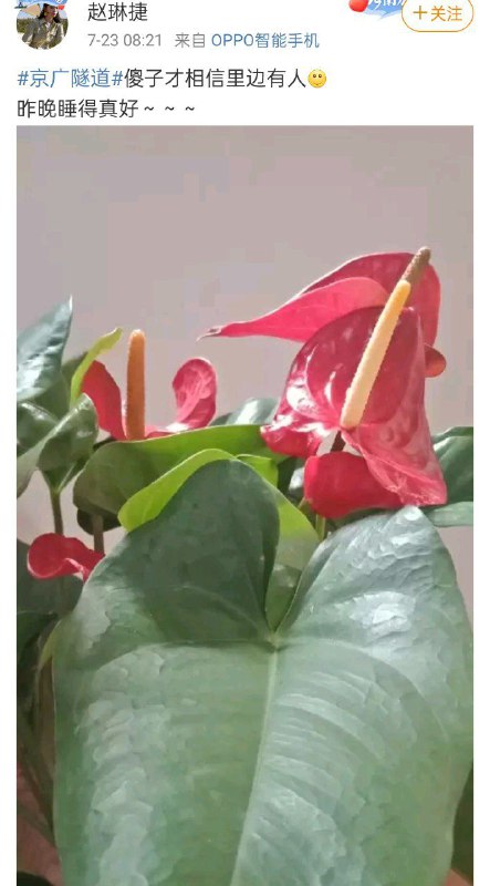 虽然老家死光了，但是还是得跟党走虽然老家死光了，但是还是得跟党走