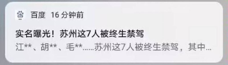 只有牠才配开车😁投稿By