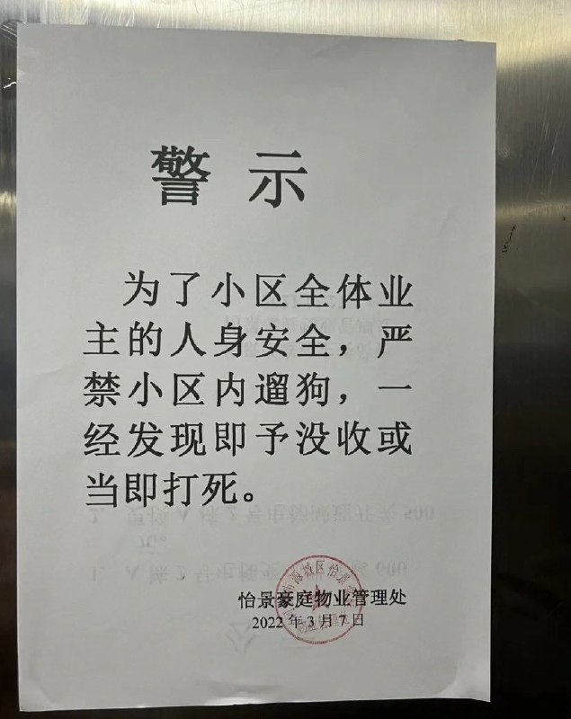 警惕拜登打狗牌！By