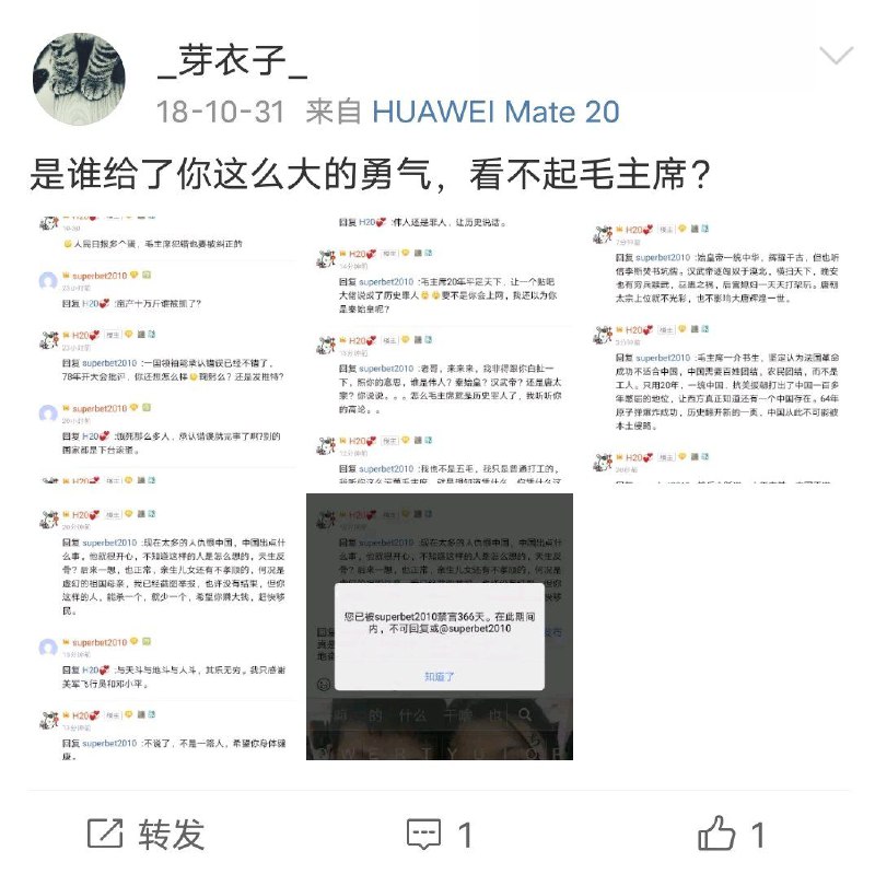 恒大爆雷，爱党爱国的小粉红惨遭社会主义铁拳迫害，于是上微博求各位赵老爷为他做主，但却没得到任何回应