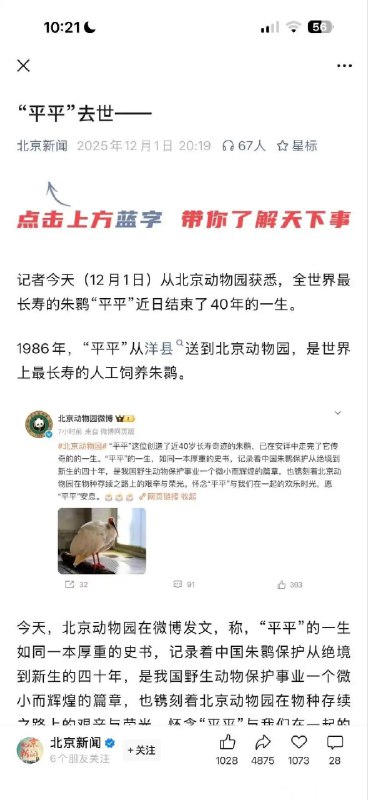 “平平”走了。太希望