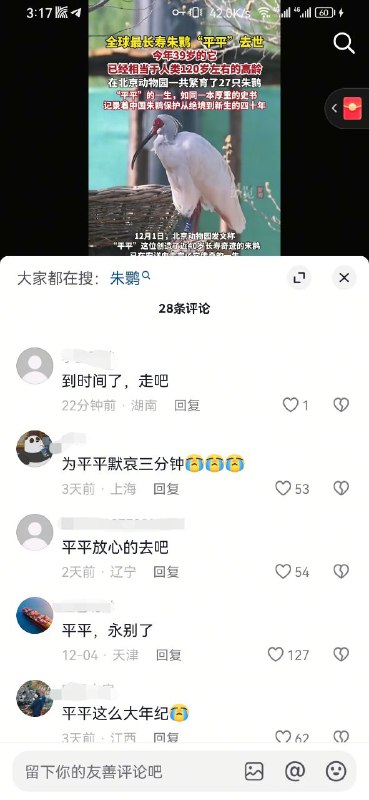 原产陕西的白羽红顶子的朱鹮鸟，平平，12月1日在北京去世