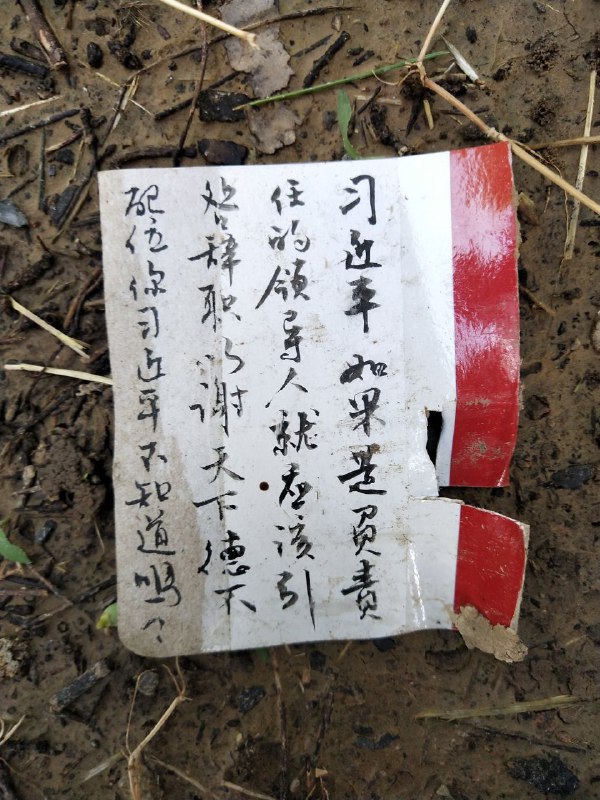 在墙国某公园遛狗，看到树上有人挂了让习近平引咎辞职下台滚蛋的纸牌By