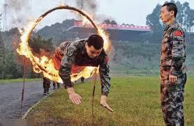 动物园驯兽#听党指挥纪律严明#作风优良能打胜仗动物园驯兽#听党指挥纪律严明#作风优良能打胜仗