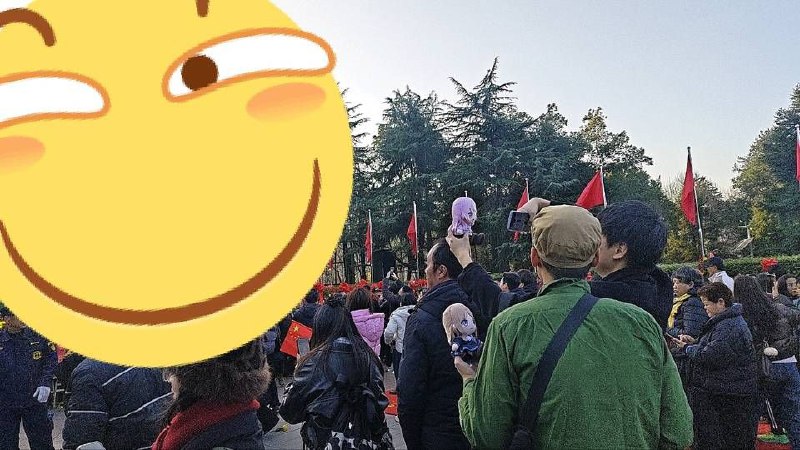 很符合我对毛左的认知