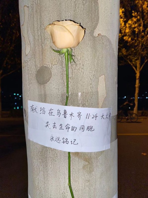 北京理工大学北京理工大学