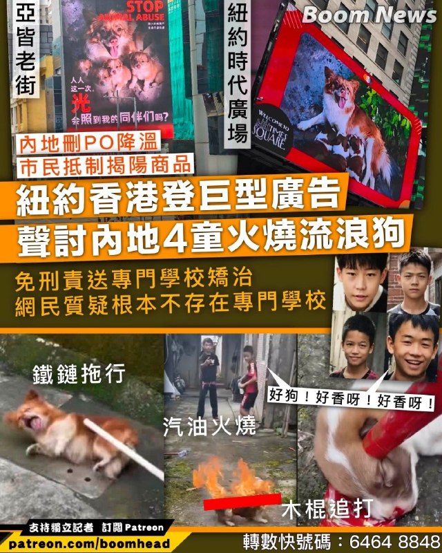 👤 来自: 椎名真