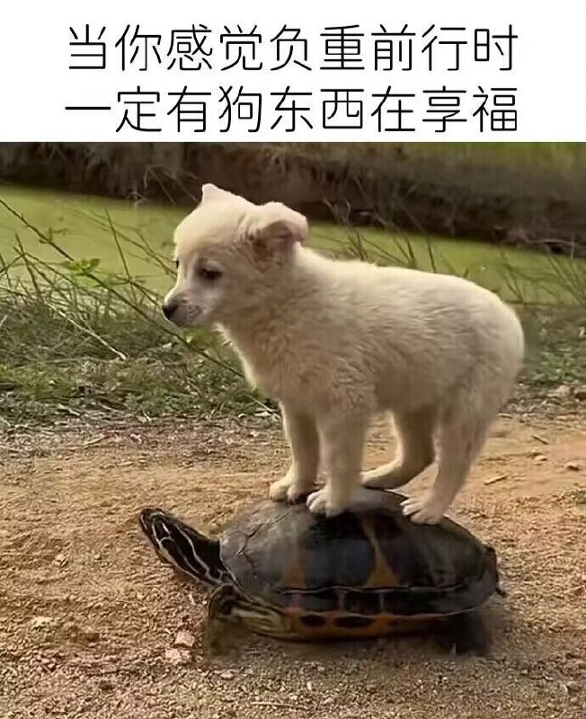 寓意深刻投稿By:欢