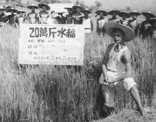 这些都是罪证啊！投稿by