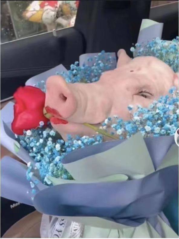 抽象中国人马迎新⚔️大佐抽象中国人马迎新⚔️大佐