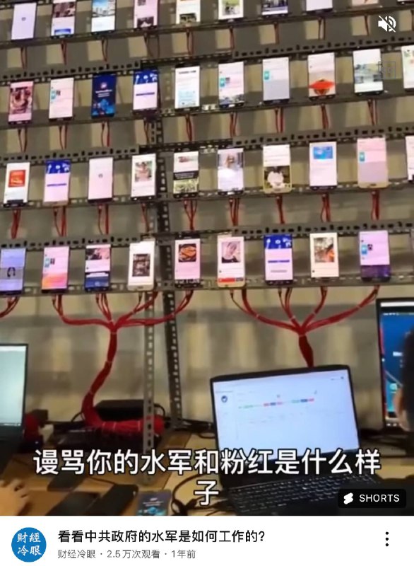 中共水军网军大量入侵