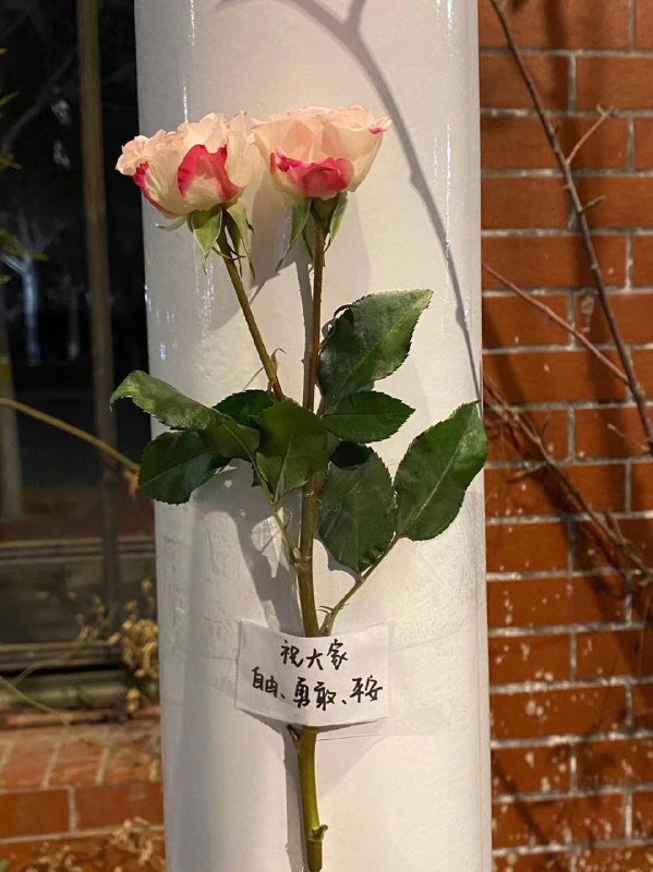 北京理工大学北京理工大学