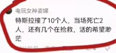 责任全在美国特斯拉责任全在美国特斯拉