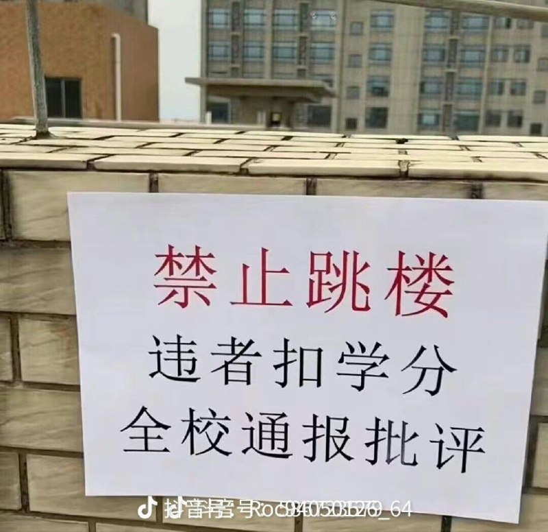 墙国生命教育👆