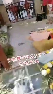 群友们喜闻乐见的狗咬狗☺️投稿By