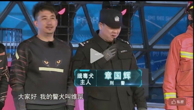 犬舍名曰“中南海”😂投稿By