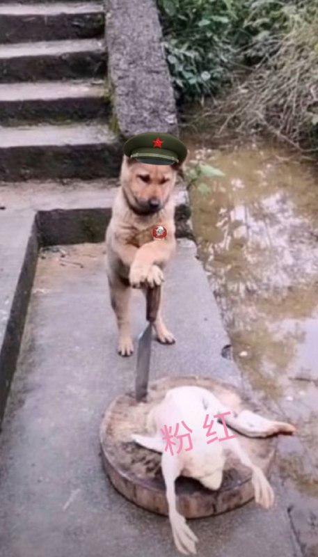 😎 匿名投稿