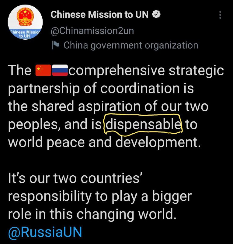 儿子到了叛逆期🤔🤔🤔？！中国常驻联合国代表团公然叫嚣中俄🇨🇳🇷🇺新时代全面战略协作伙伴关系对于世界的和平与发展来说是『可有可无』的😱😱😱！