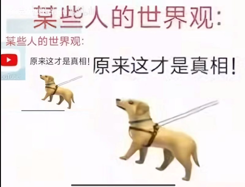 🕶️ 匿名投稿