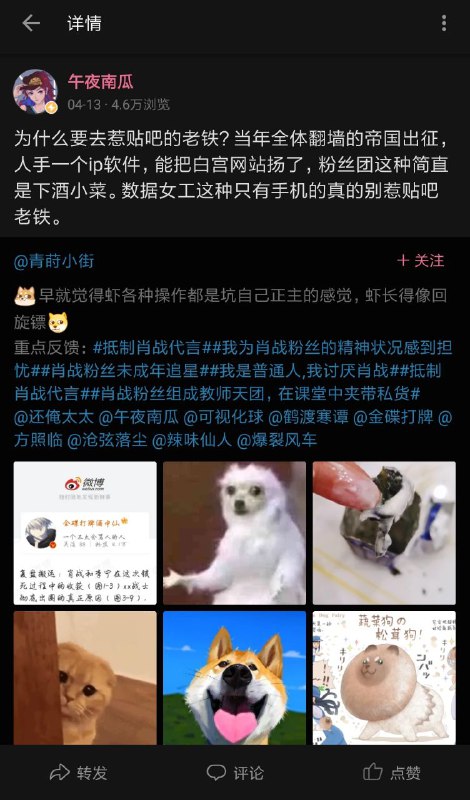 回顾一下午夜南瓜的经典言论回顾一下午夜南瓜的经典言论