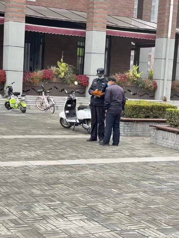 西建大考古队发现树叶甲骨文By