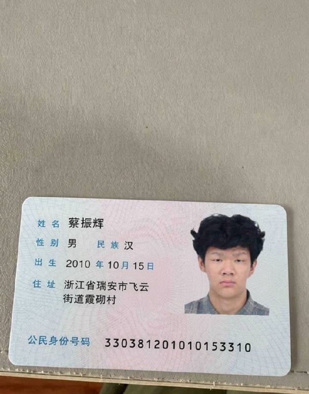 我是蔡振辉，一名普通的浙江温州瑞安高中辍学生