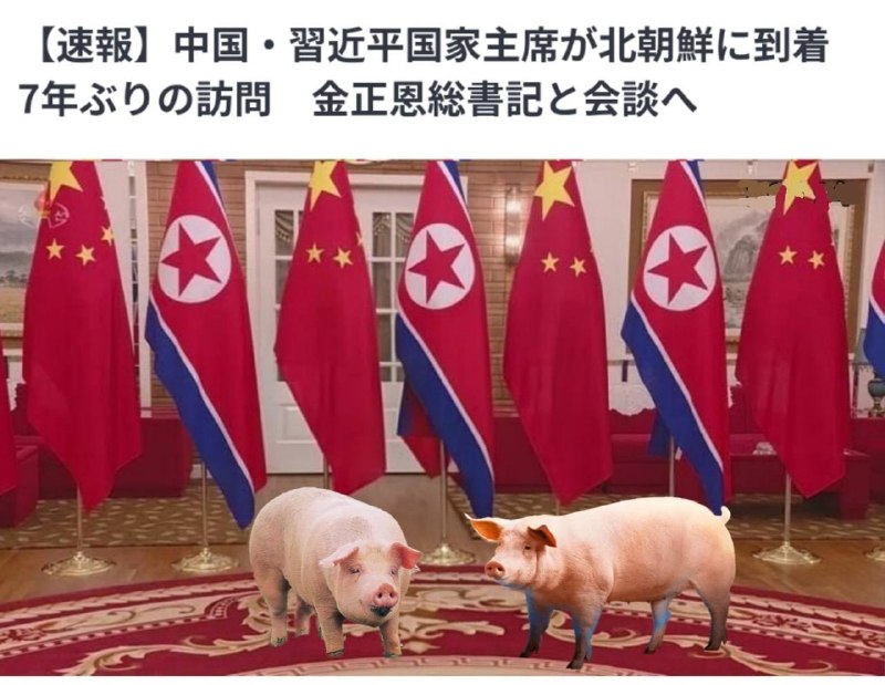 应北朝鲜劳动党主席金