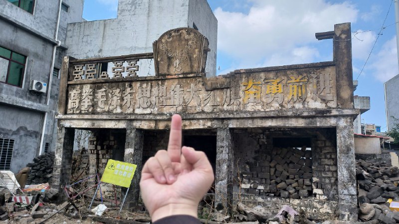 器官痒了#中指革命