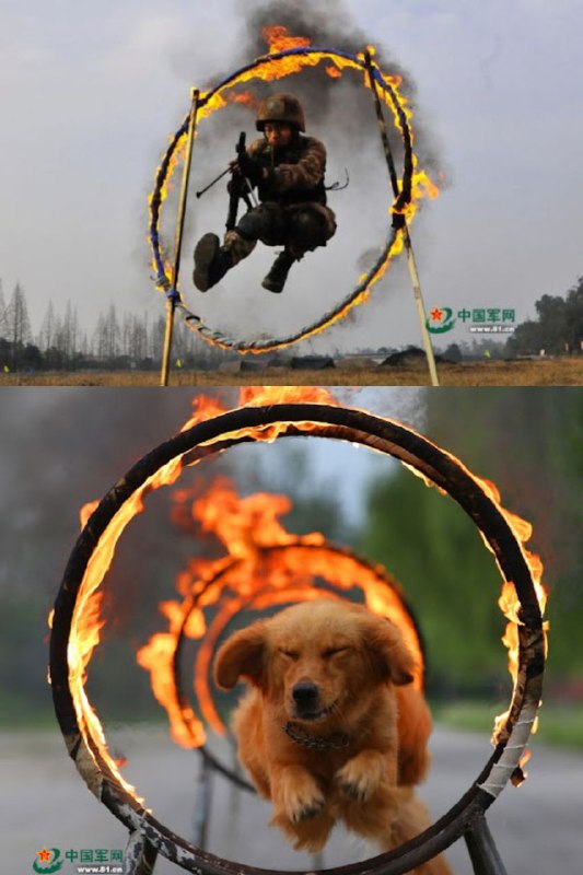 惊！九三大阅兵幕后花絮曝光，习主席敲击键盘微博发送范围覆盖全球！看到哪一个你哭了？#人民军队#能打胜仗惊！九三大阅兵幕后花絮曝光，习主席敲击键盘微博发送范围覆盖全球！看到哪一个你哭了？#人民军队#能打胜仗